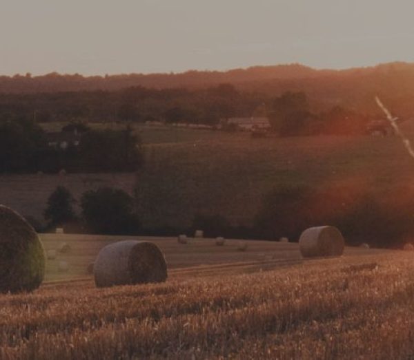 Image of hay bales and sun